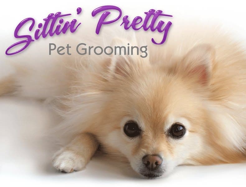 Sittin' Pretty Pet Grooming
